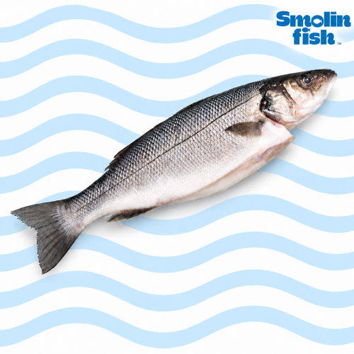 labraks, labraks ryba, okoń morski, sea bass ryba, labraks świeży, labraks filet, kup labraks, labraks cena, labraks sklep, okoń morski dostawa, świeże ryby online, jak przygotować labraksa, labraks przepis, grillowany labraks, labraks piekarnik