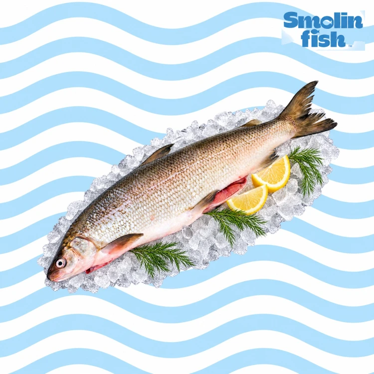 Surowe_4_smolin_logo_prawa.png
