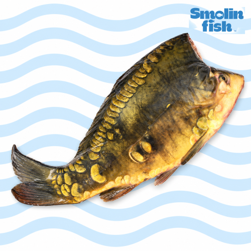 875_smolin_logo_prawa.png