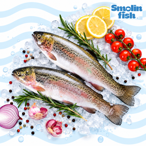 870_smolin_logo.png