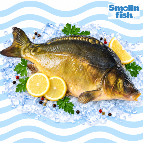 896_smolin_logo.png