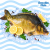 896_smolin_logo.png
