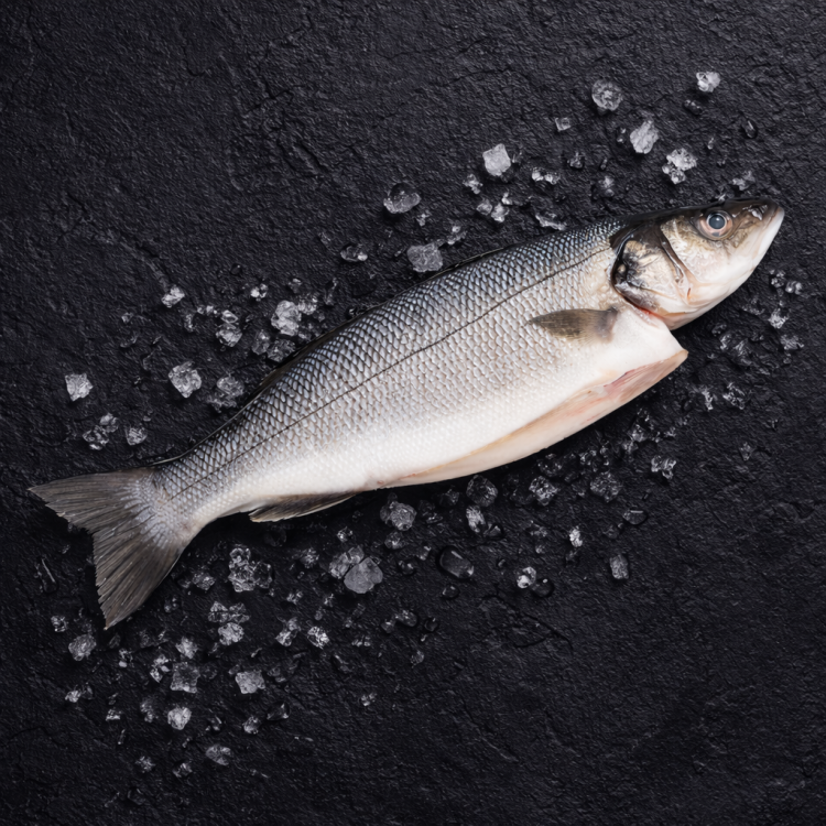 labraks, labraks ryba, okoń morski, sea bass ryba, labraks świeży, labraks filet, kup labraks, labraks cena, labraks sklep, okoń morski dostawa, świeże ryby online, jak przygotować labraksa, labraks przepis, grillowany labraks, labraks piekarnik