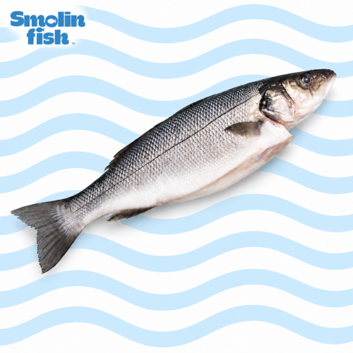 labraks, labraks ryba, okoń morski, sea bass ryba, labraks świeży, labraks filet, kup labraks, labraks cena, labraks sklep, okoń morski dostawa, świeże ryby online, jak przygotować labraksa, labraks przepis, grillowany labraks, labraks piekarnik