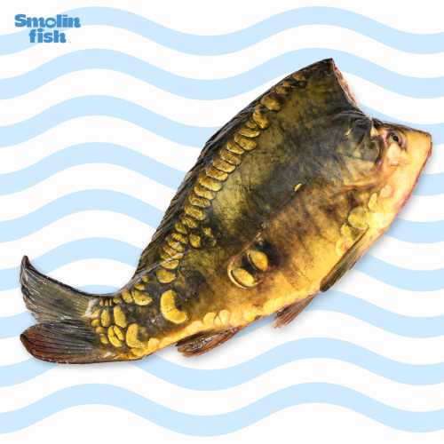 875_logo_smolin_fish.png